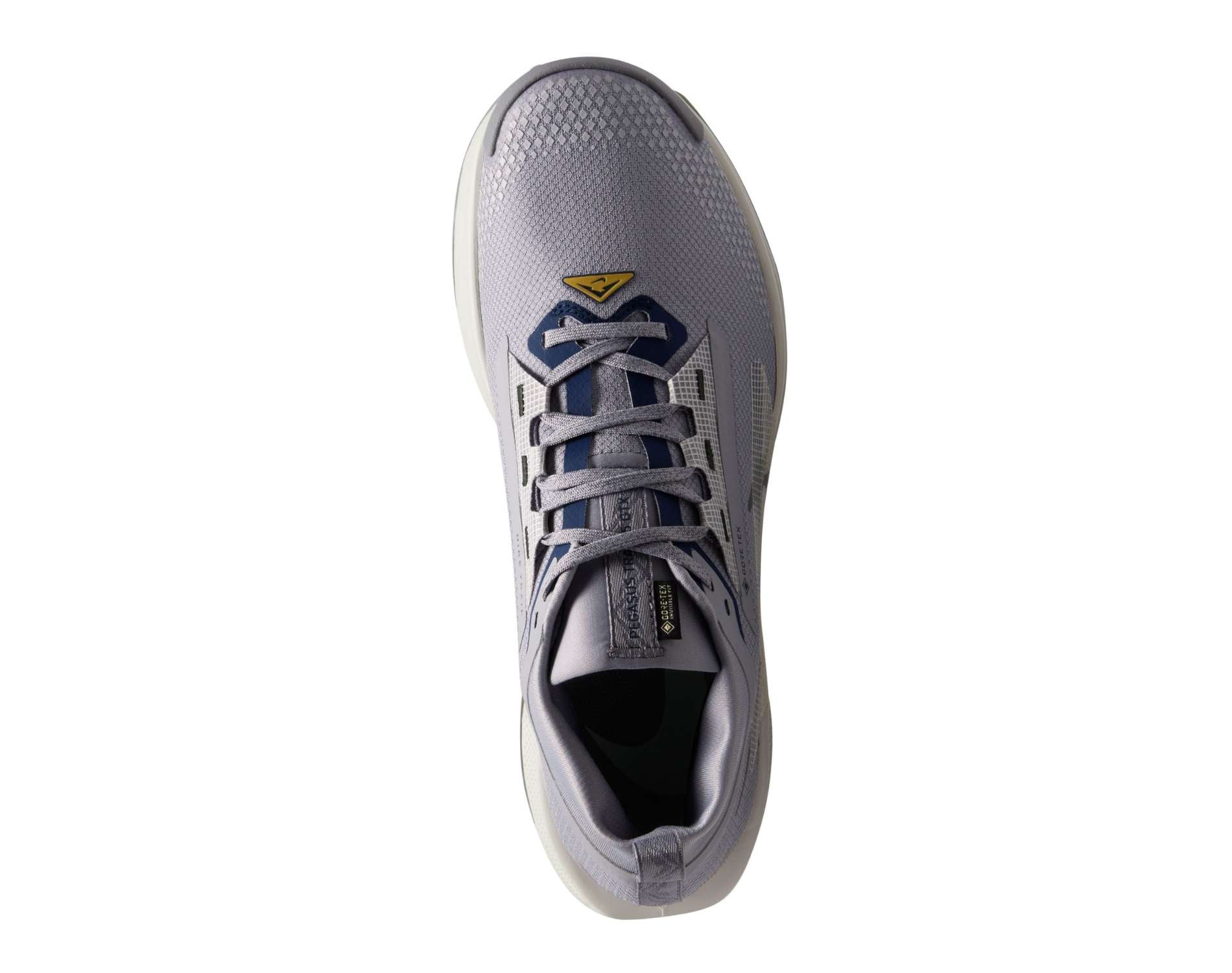 Nike Pegasus Trail 5 GORE-TEX Mens Trail-Running Shoes