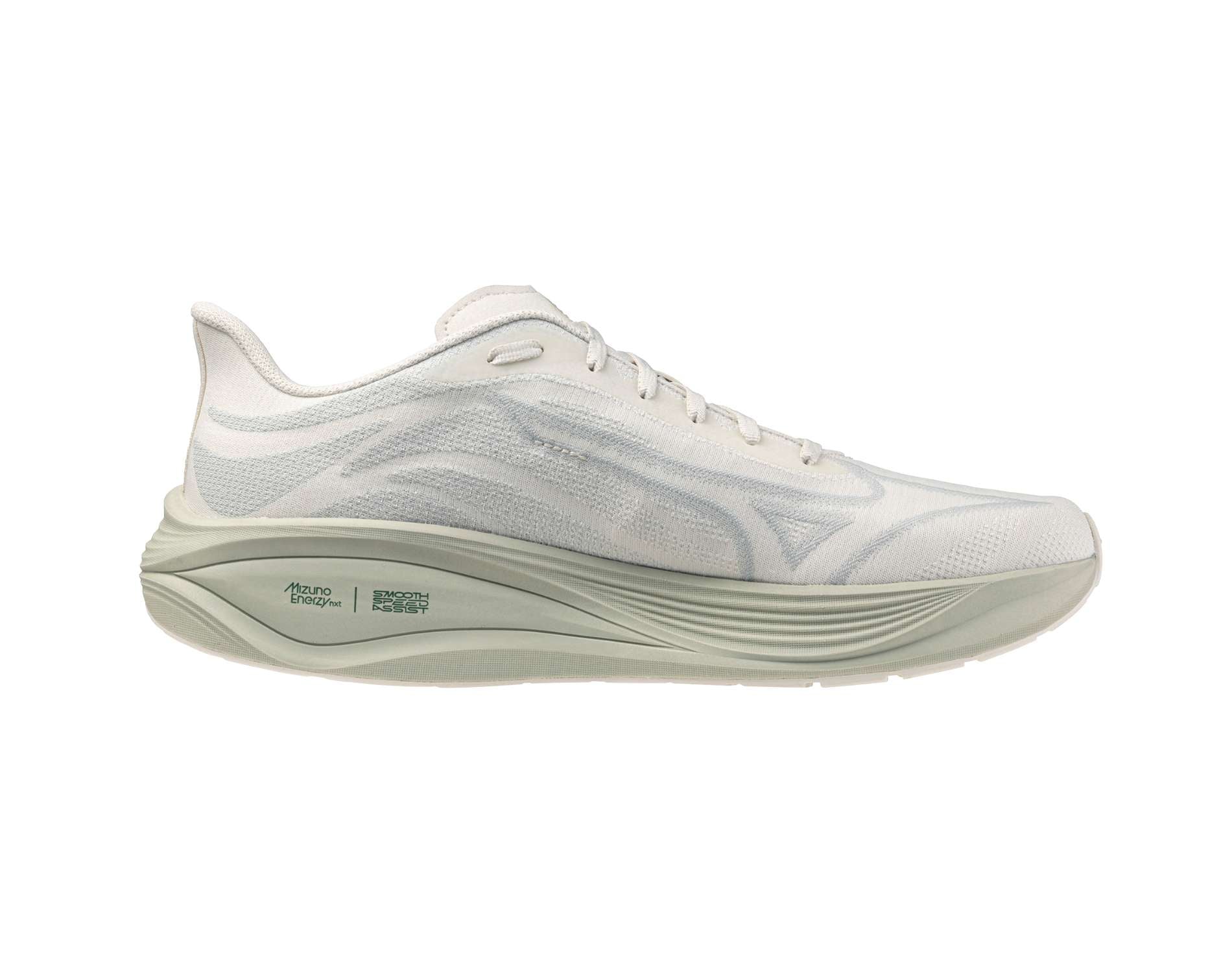 Chaussures de course unisexes Mizuno Neo Cosmo