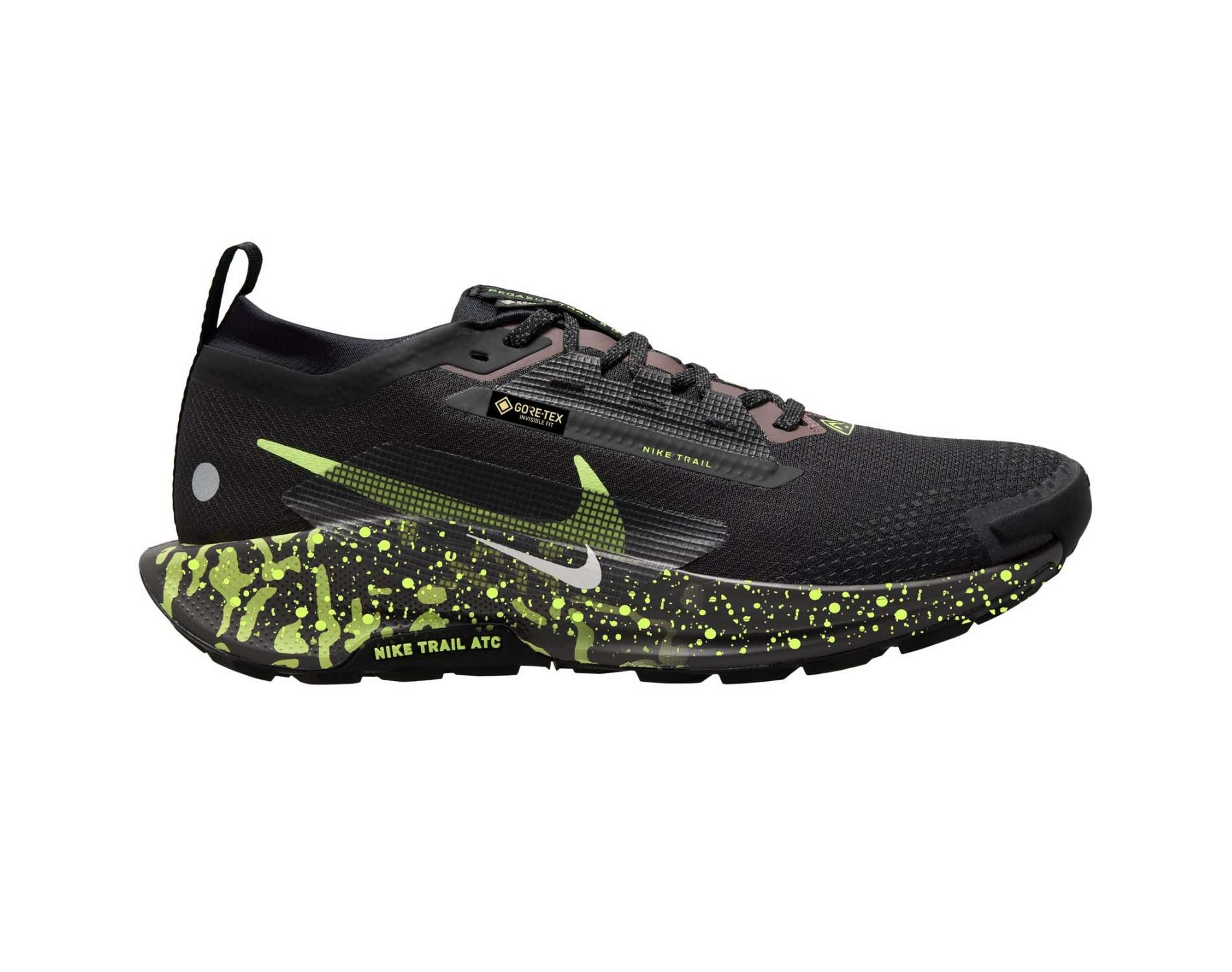 Chaussures de trail pour hommes Nike Pegasus Trail 5 GORE-TEX